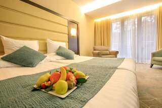 Отель Pirin Park Hotel Сандански Двухместный номер Делюкс с 1 кроватью или 2 отдельными кроватями, бесплатный доступ в спа-центр-2