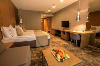 Отель Pirin Park Hotel Сандански Двухместный номер Делюкс с 1 кроватью или 2 отдельными кроватями и дополнительной кроватью (для 3 взрослых) - Бесплатное посещение спа-центра-2